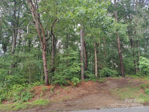 16346 Belle Isle Drive Cornelius NC 28031
