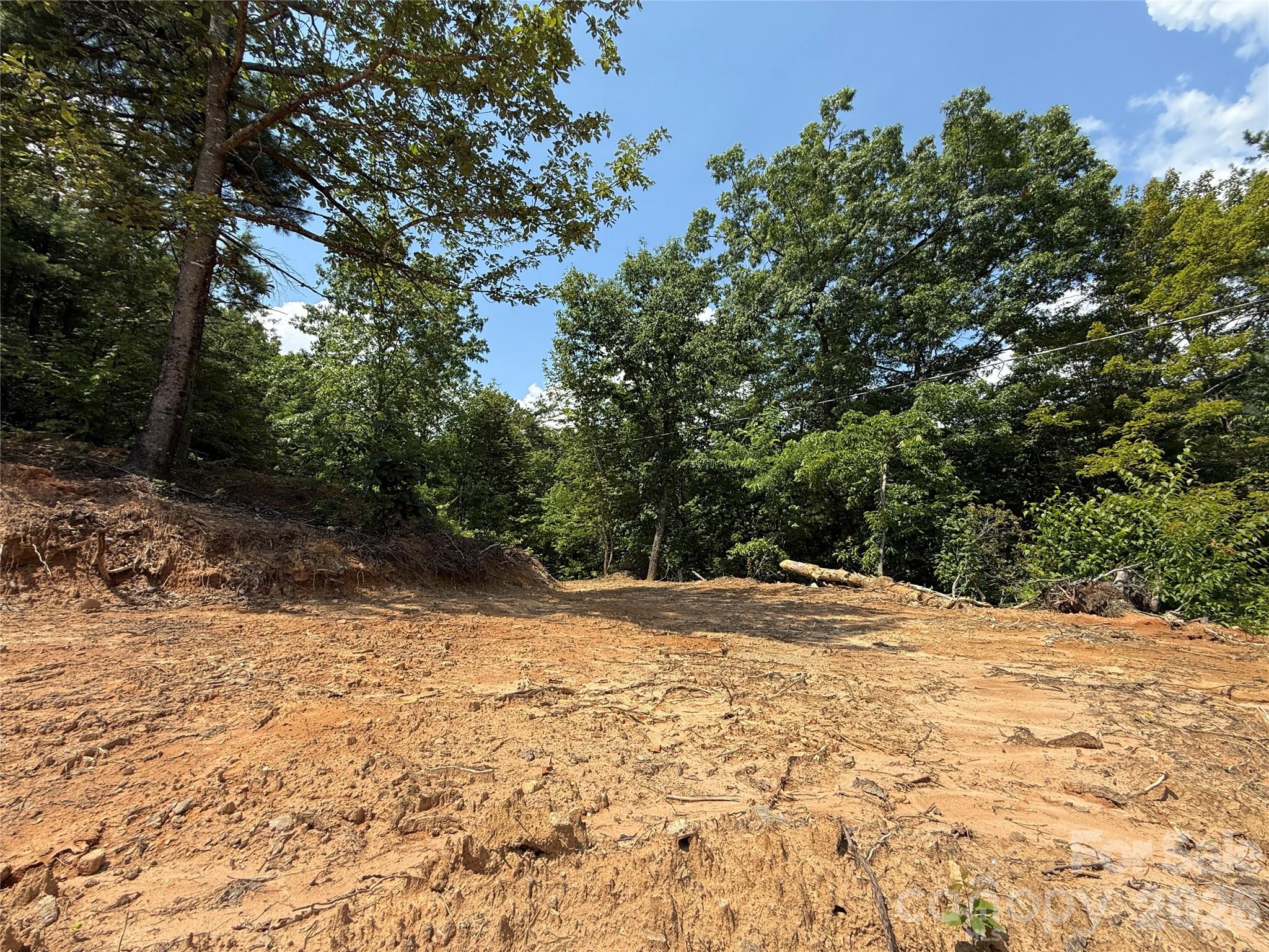 Buck Mountain - Land