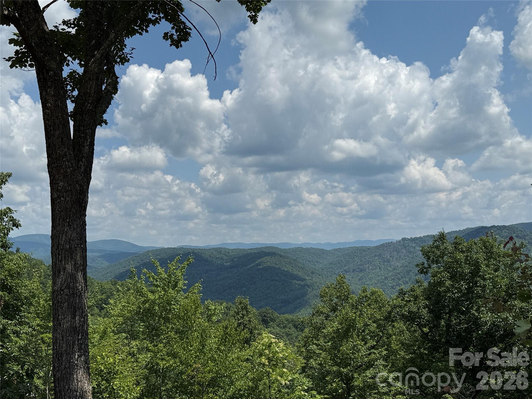 Buck Mountain - Land