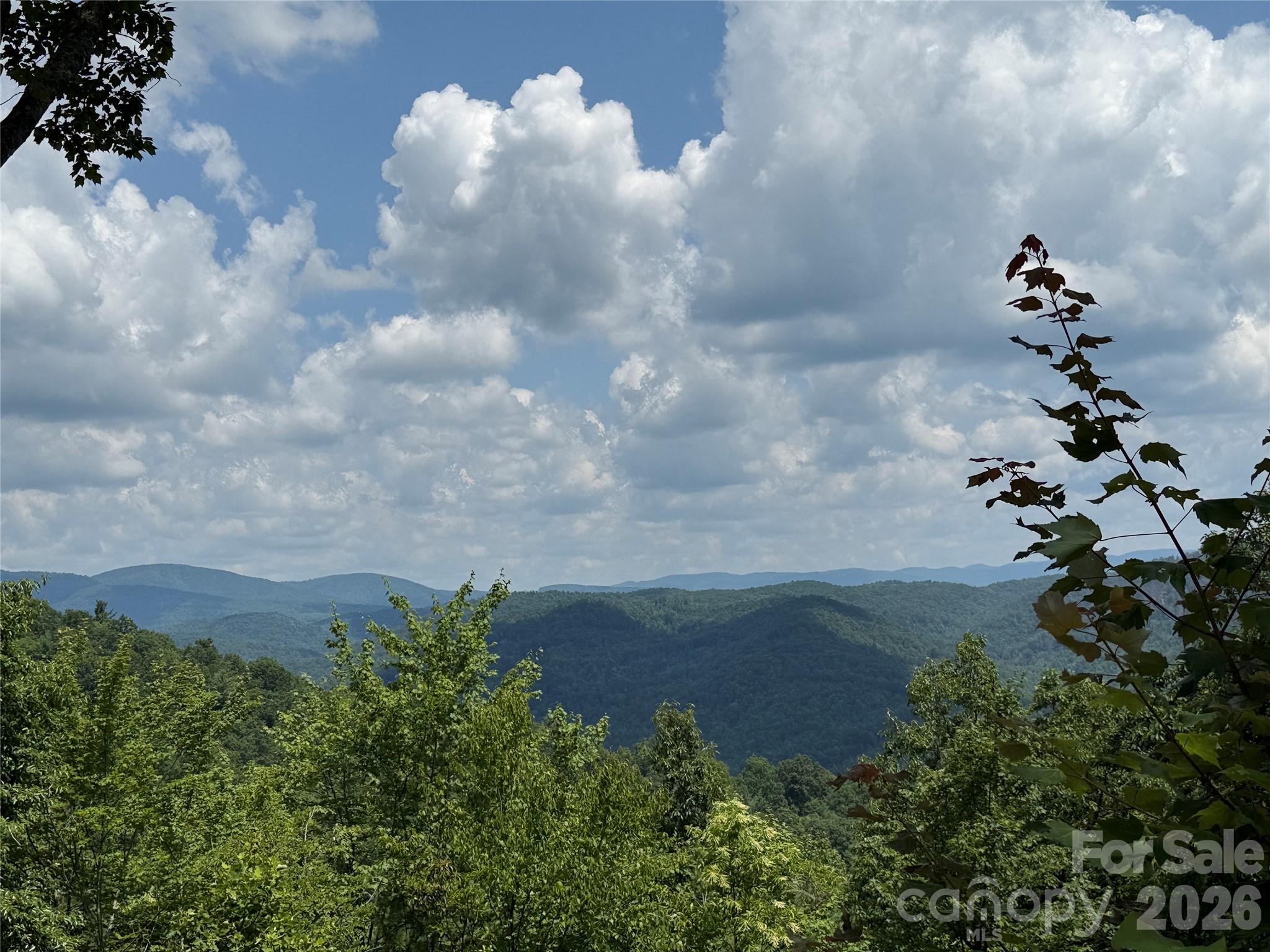 337 Lucas Path Drive 69