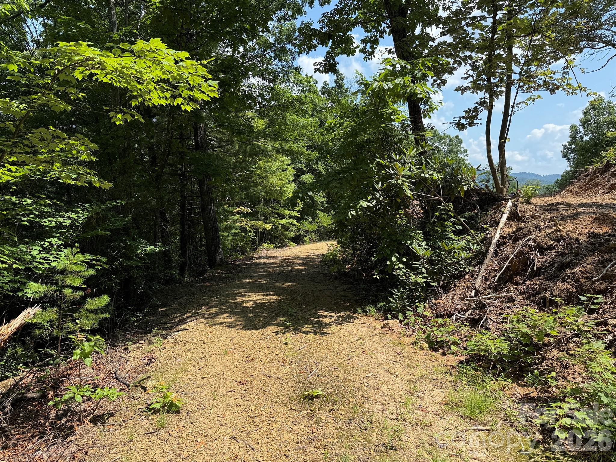 Buck Mountain - Land