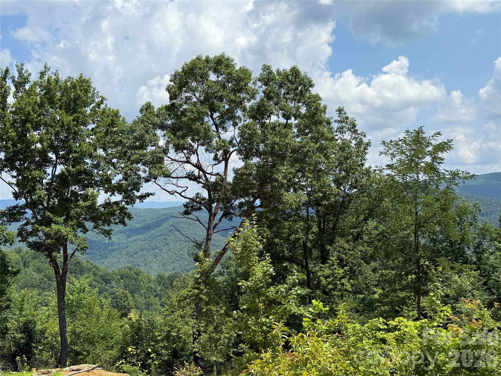 Buck Mountain - Land