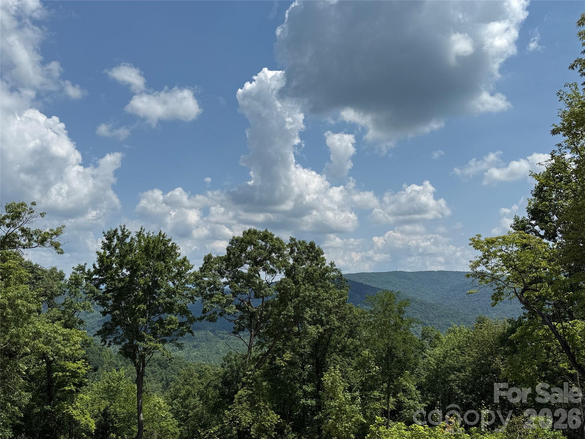 Buck Mountain - Land