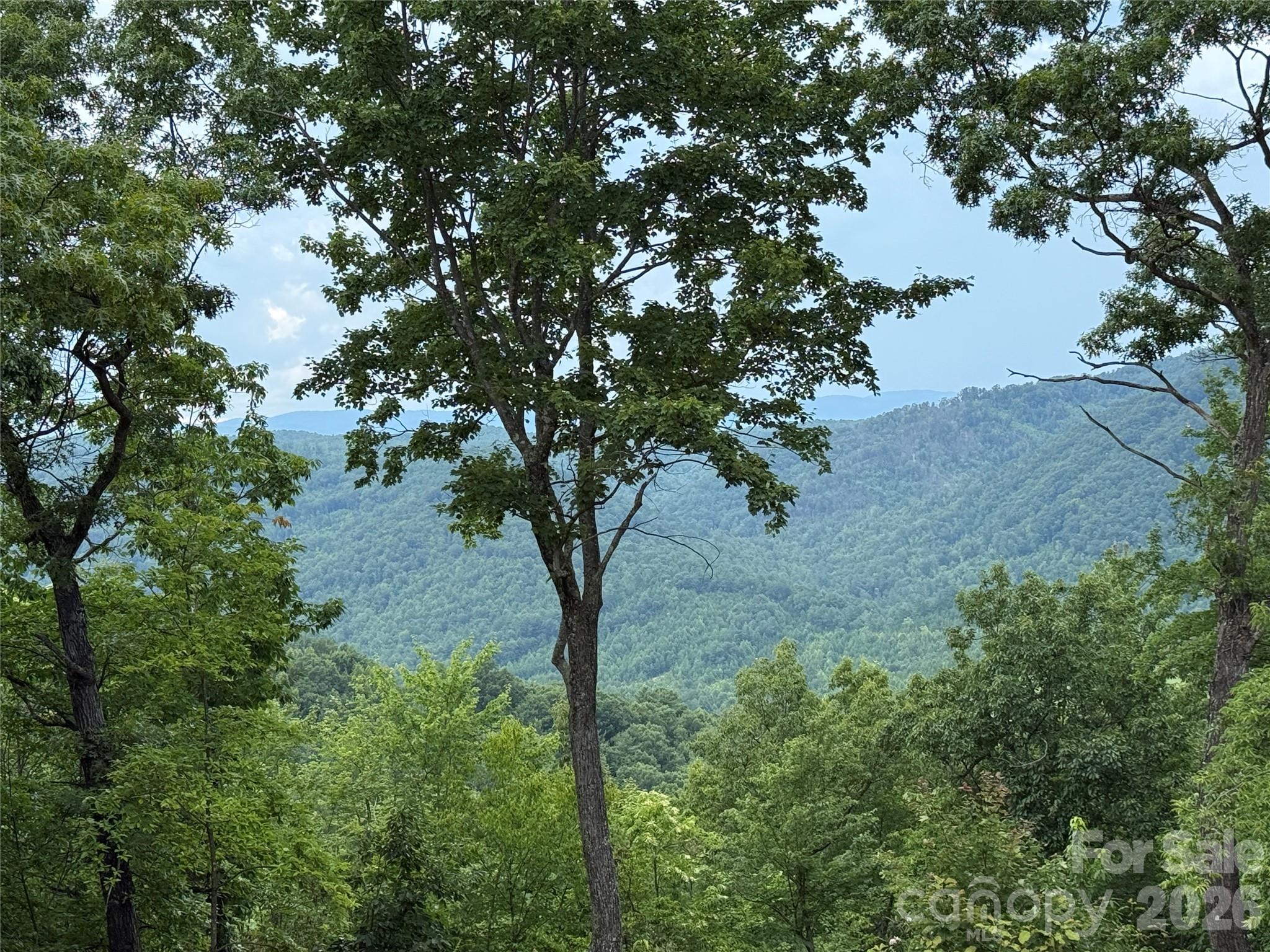 Buck Mountain - Land