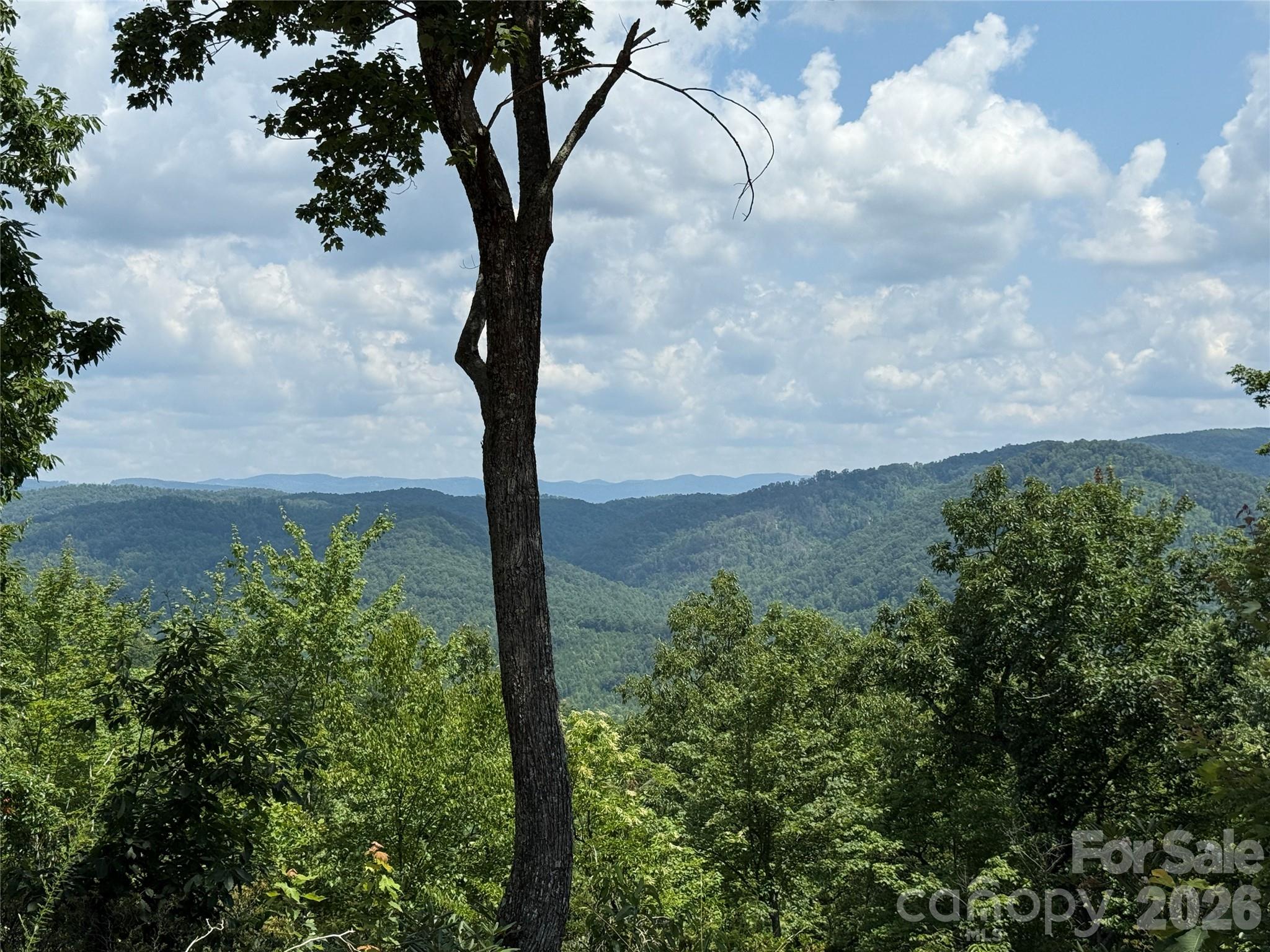 Buck Mountain - Land