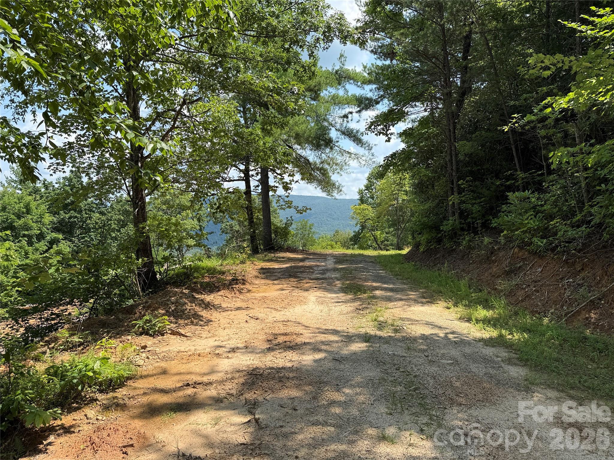 Buck Mountain - Land