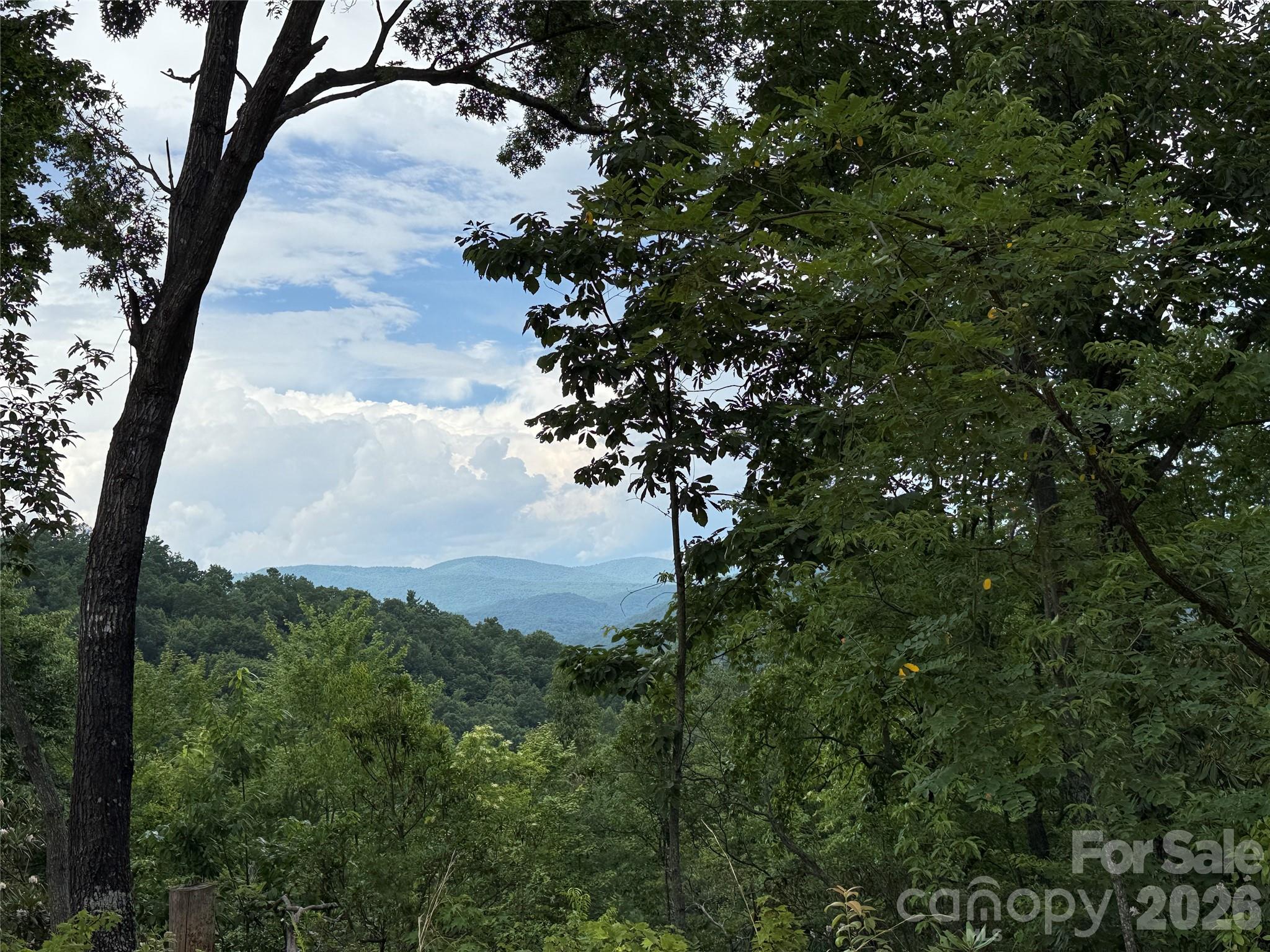 Buck Mountain - Land