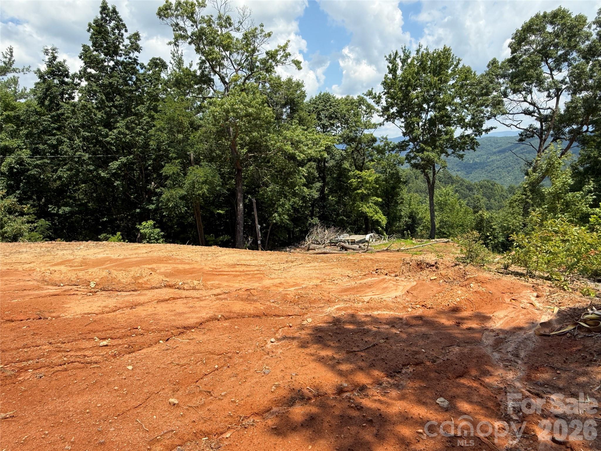 Buck Mountain - Land