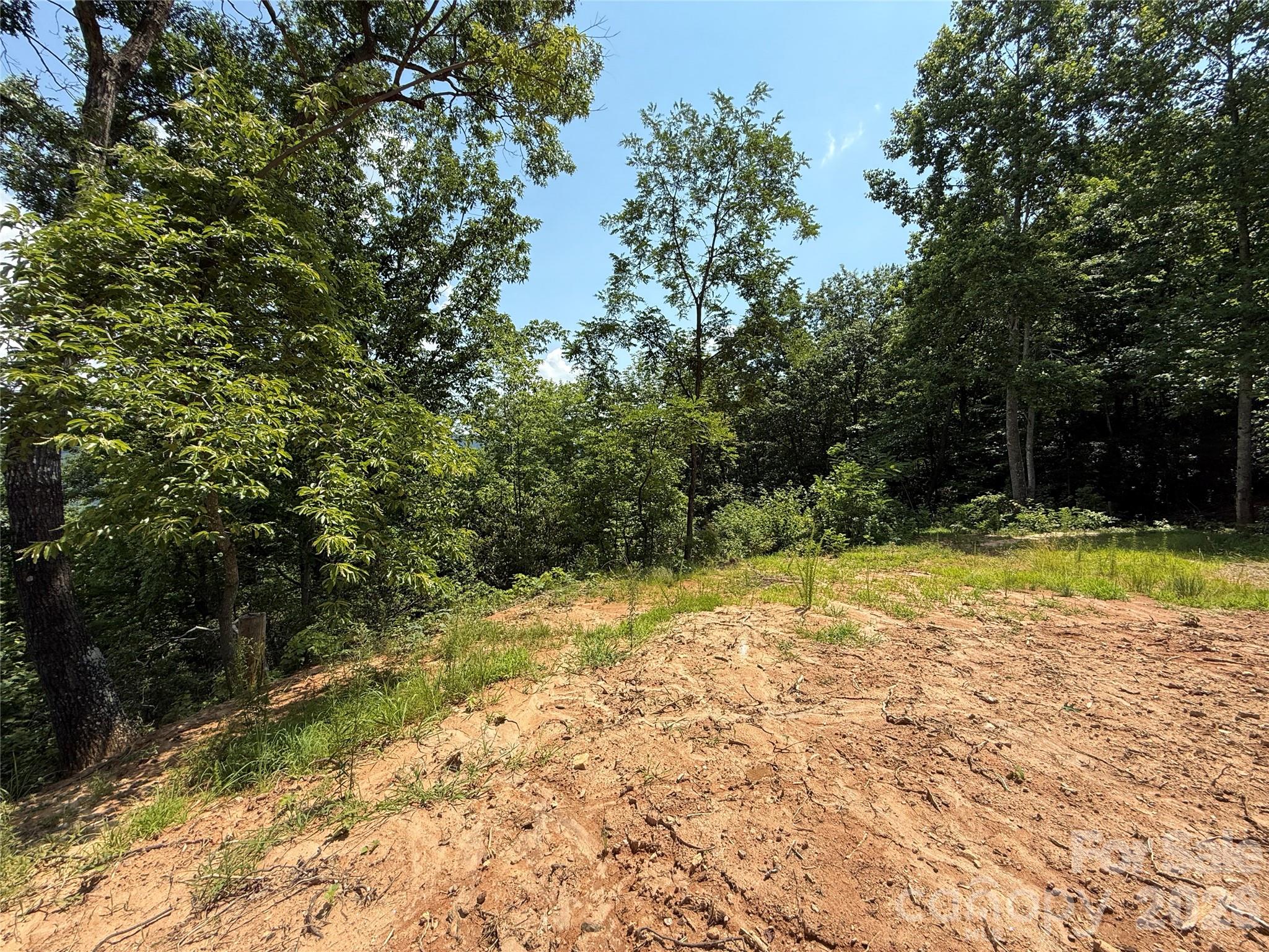 Buck Mountain - Land