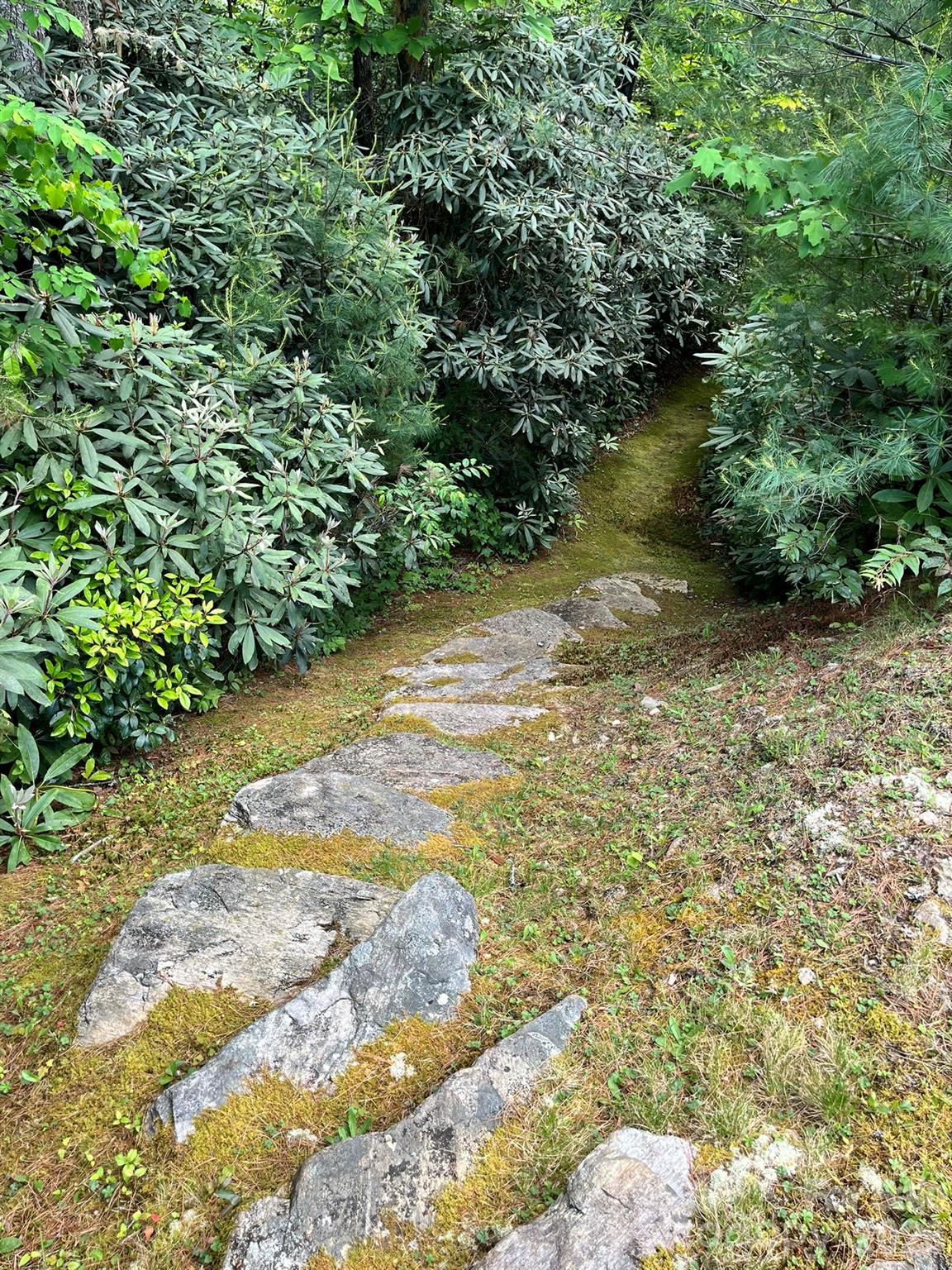 Round Mountain Falls - Land