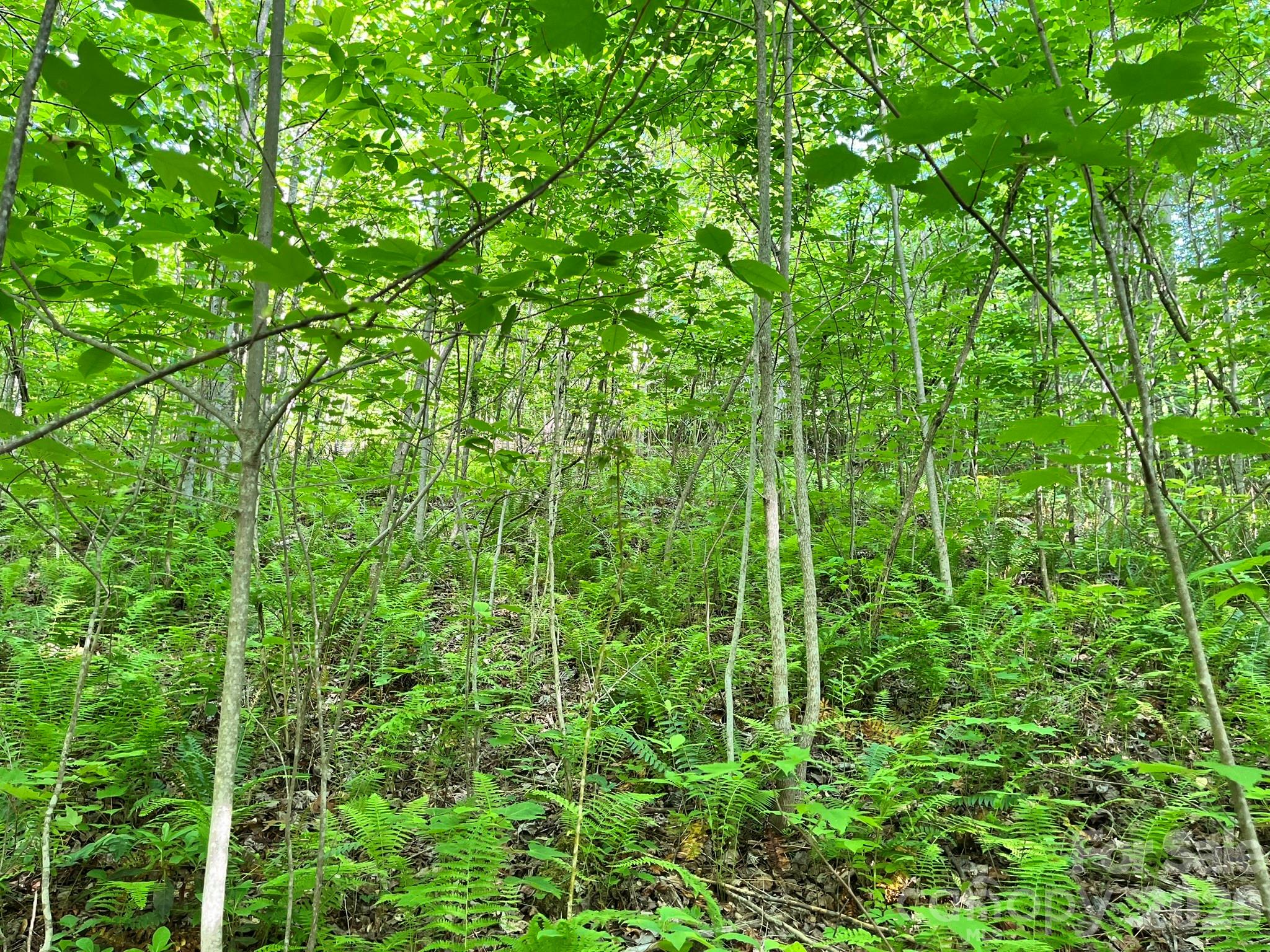 Round Mountain Falls - Land