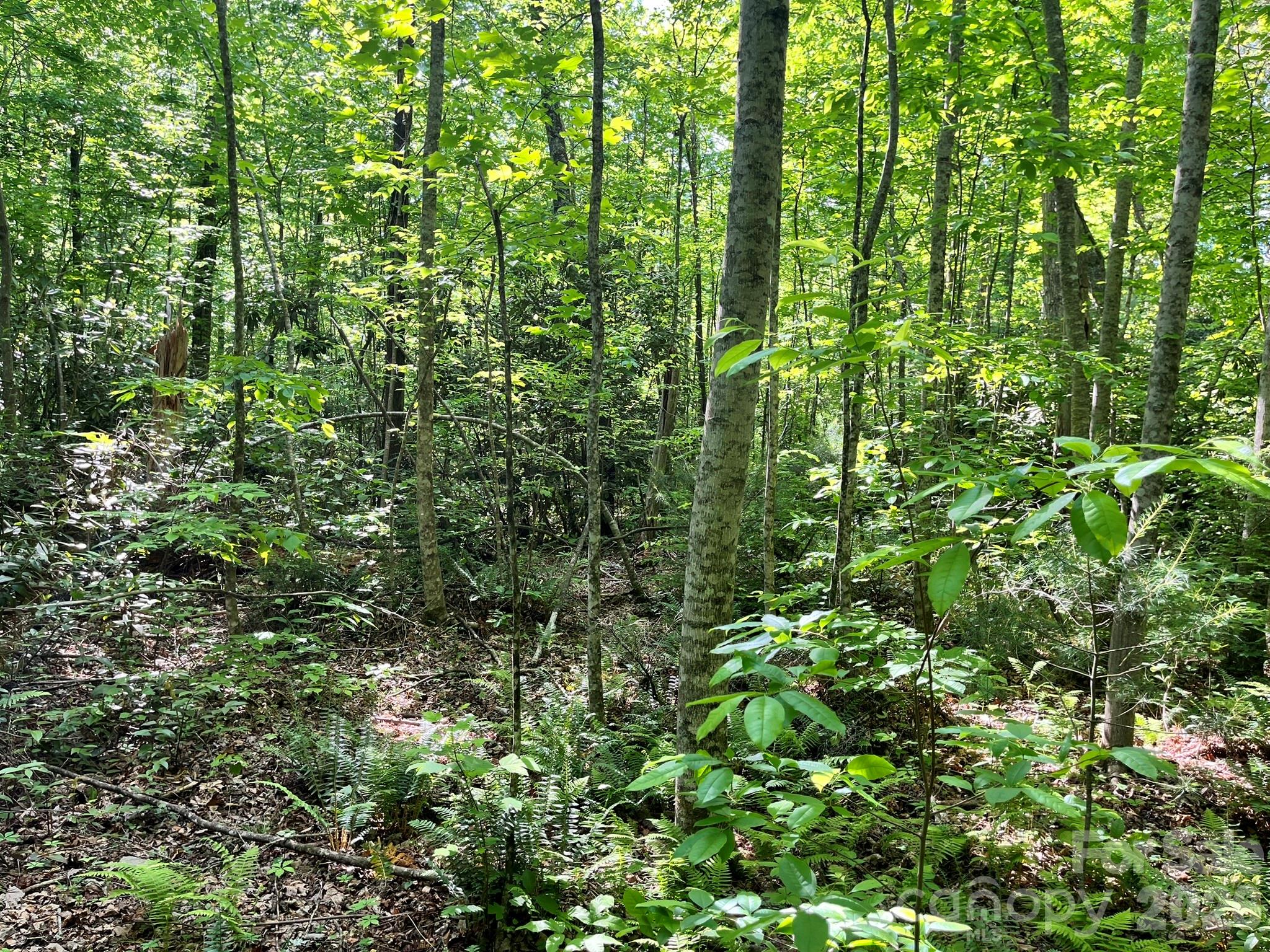 Round Mountain Falls - Land