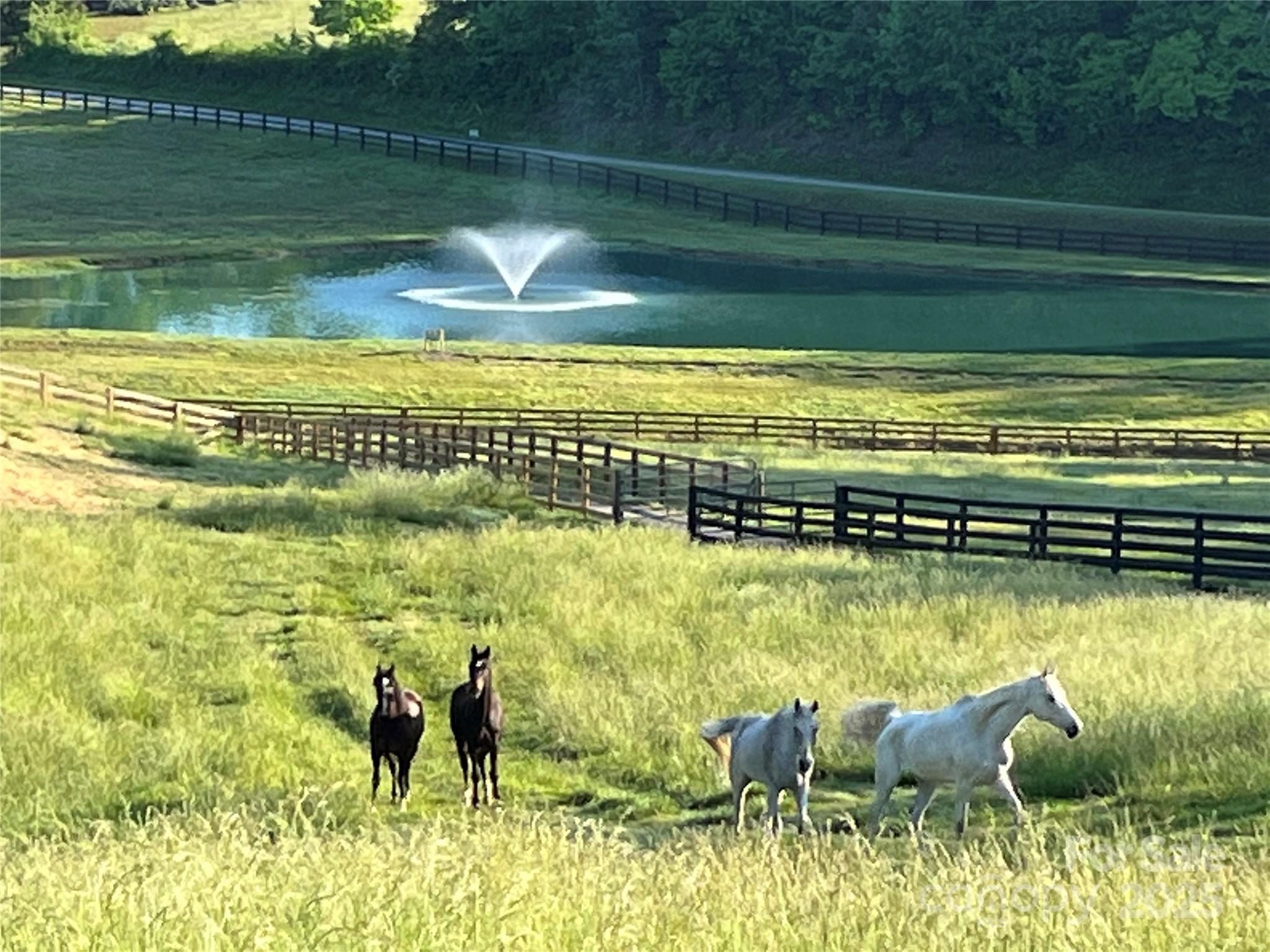 The Coves Mountain River Club - Residential