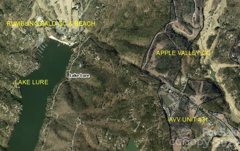 Rumbling Bald on Lake Lure - Residential