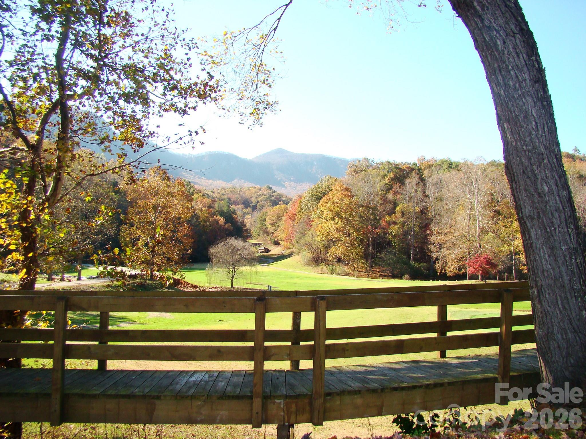 Rumbling Bald on Lake Lure - Residential