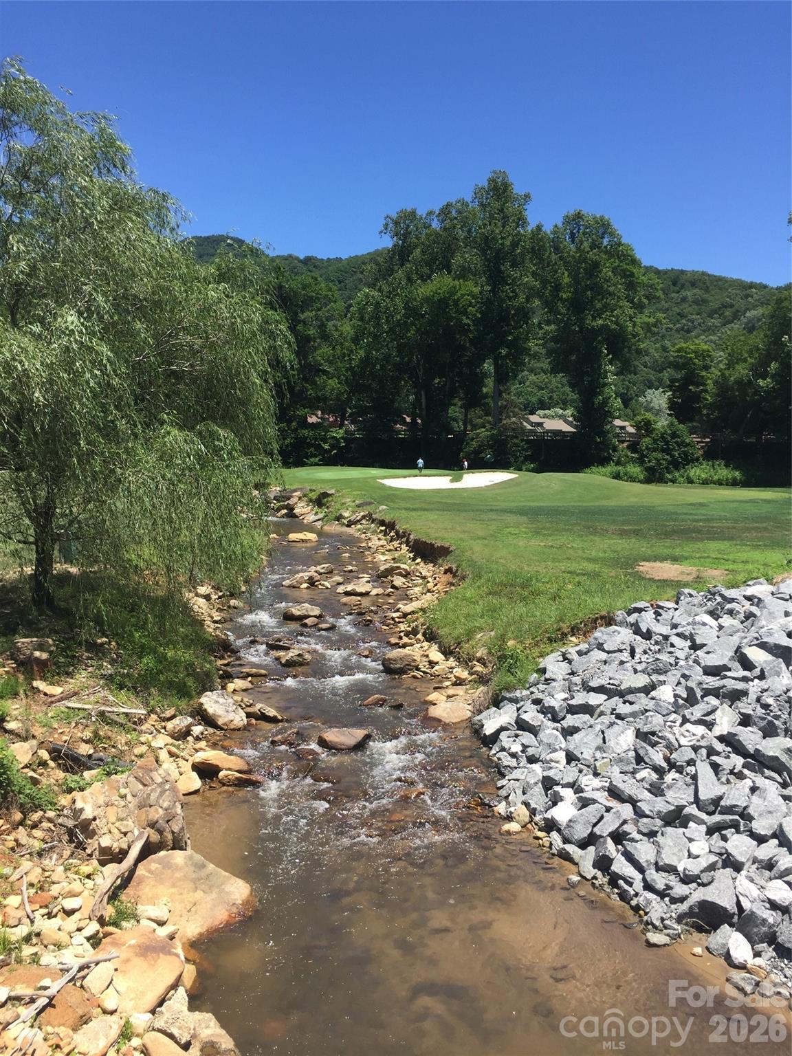 Rumbling Bald on Lake Lure - Residential