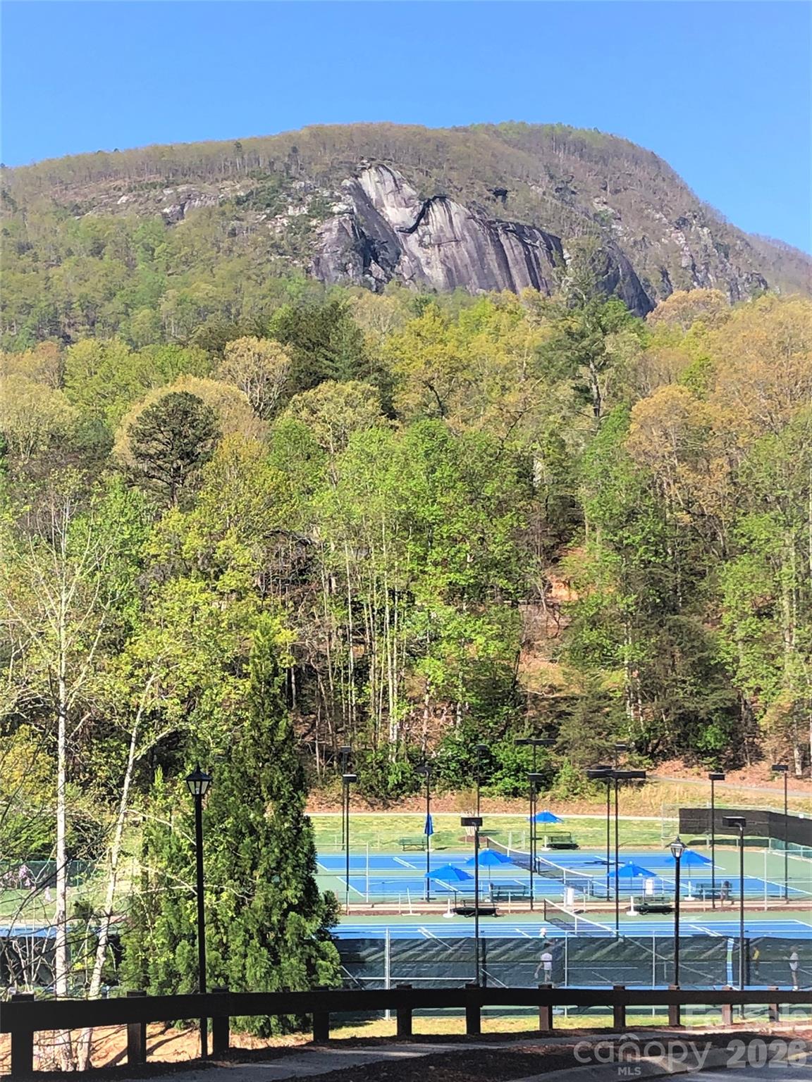 Rumbling Bald on Lake Lure - Residential