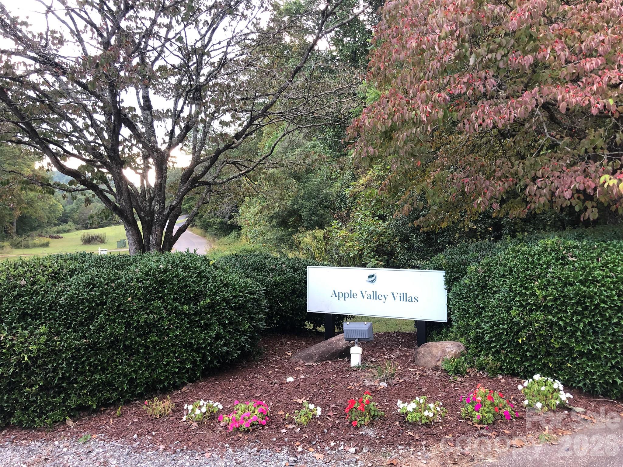 Rumbling Bald on Lake Lure - Residential