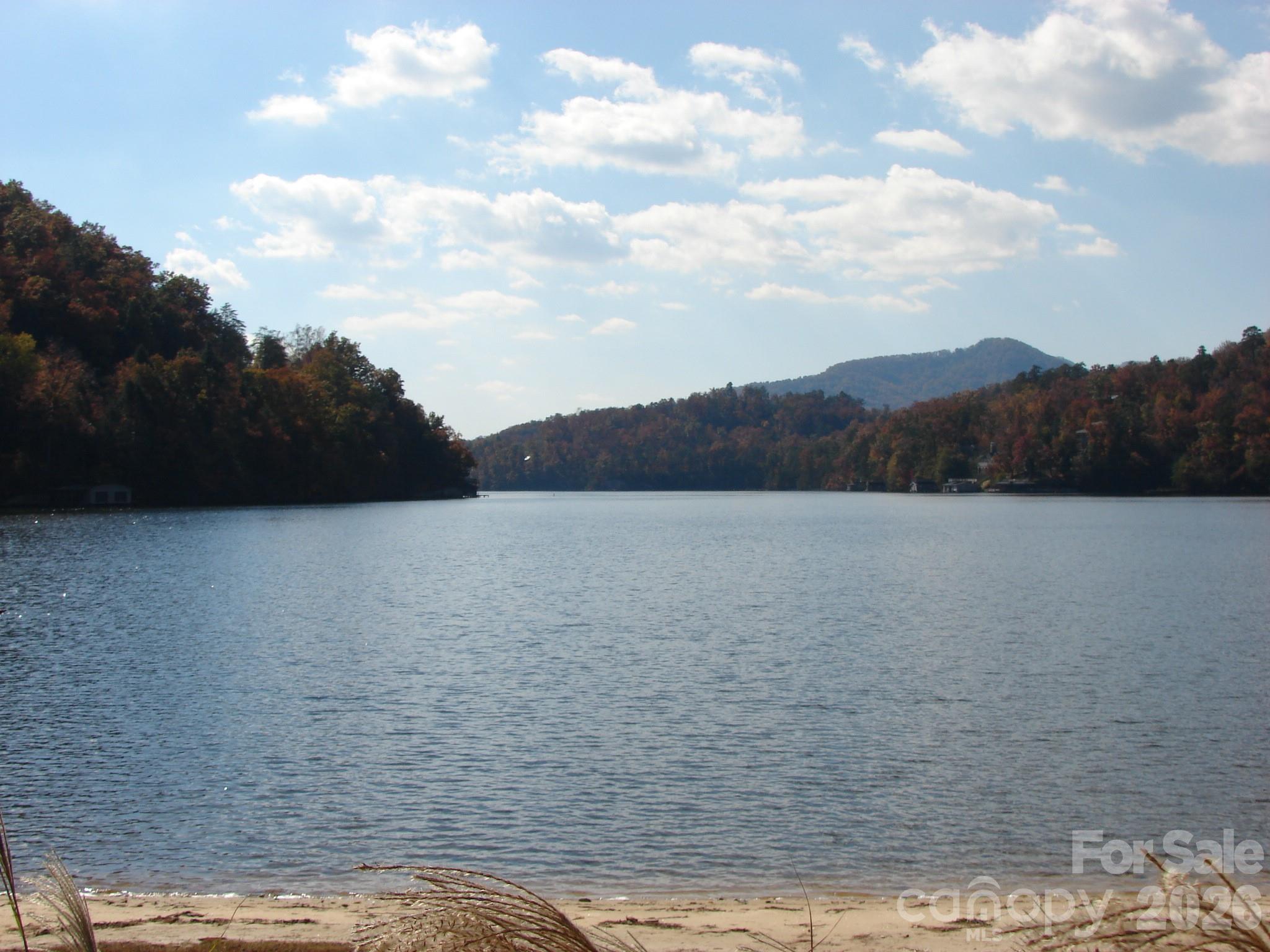 Rumbling Bald on Lake Lure - Residential