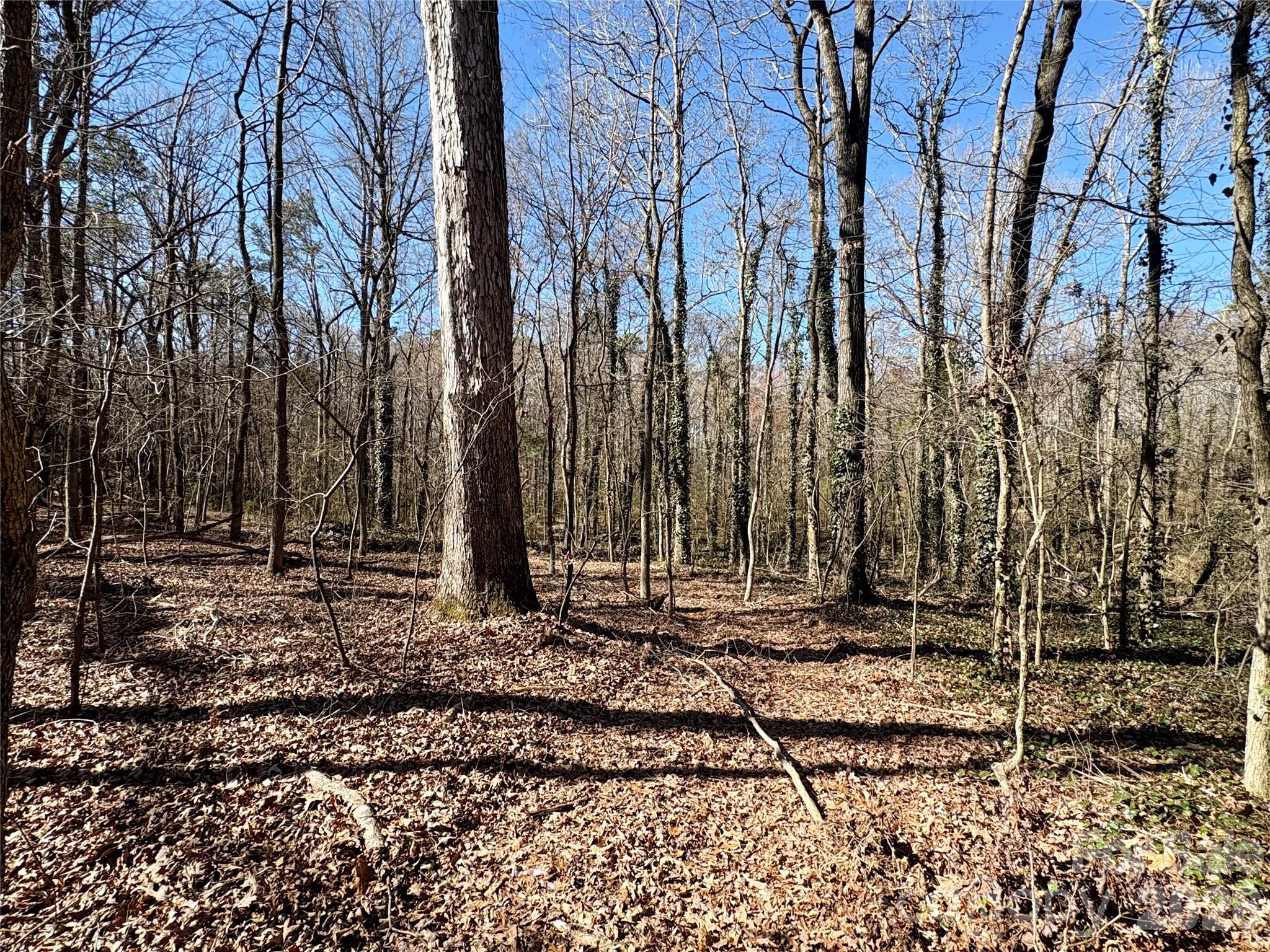 1417 Ellis Griffin Road