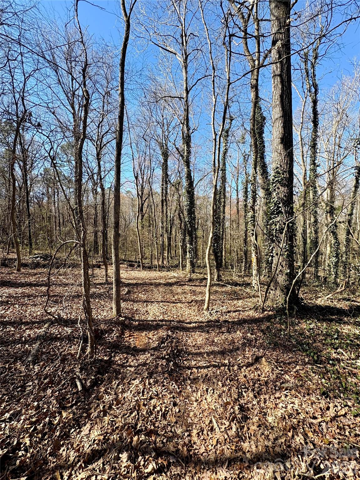 1417 Ellis Griffin Road