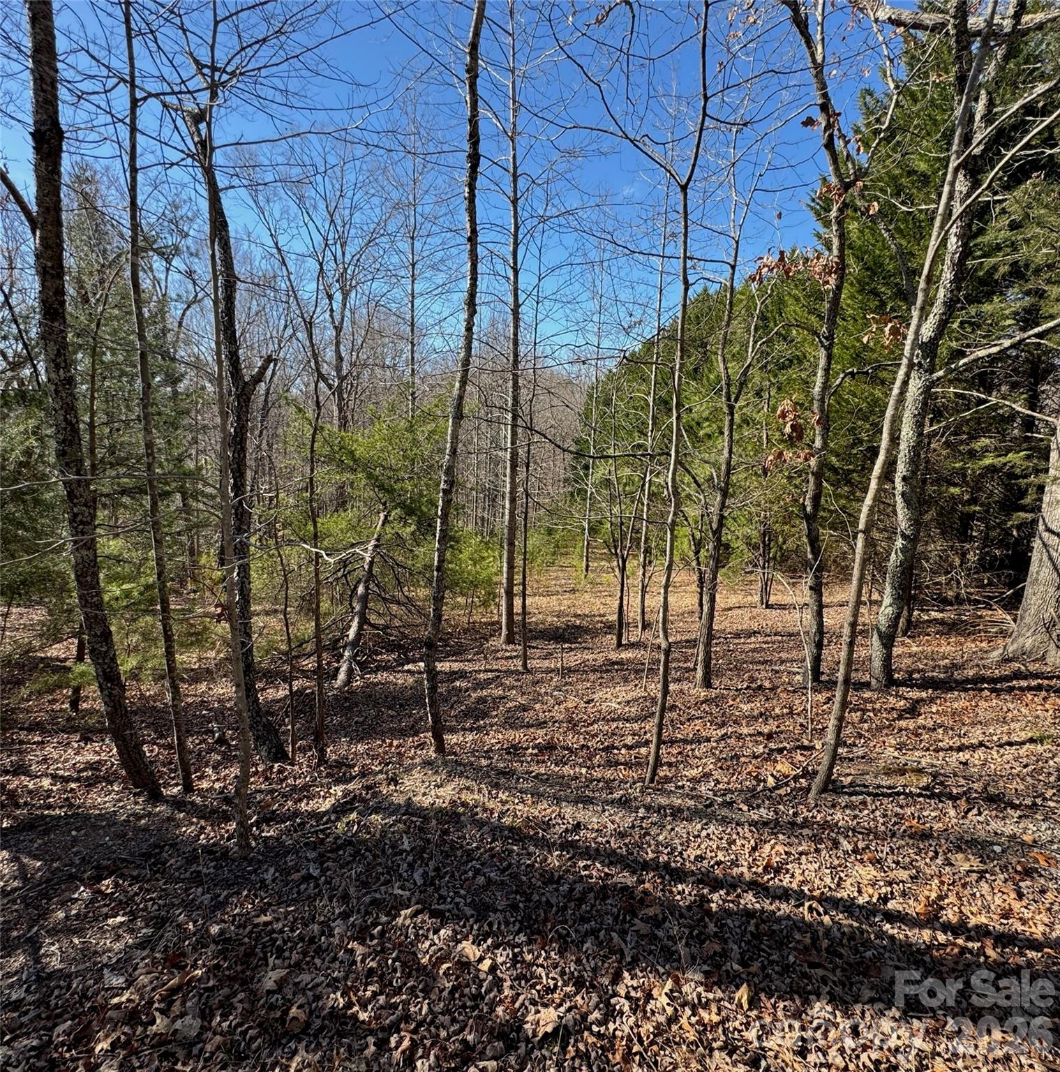 Westmoreland Plantation - Land