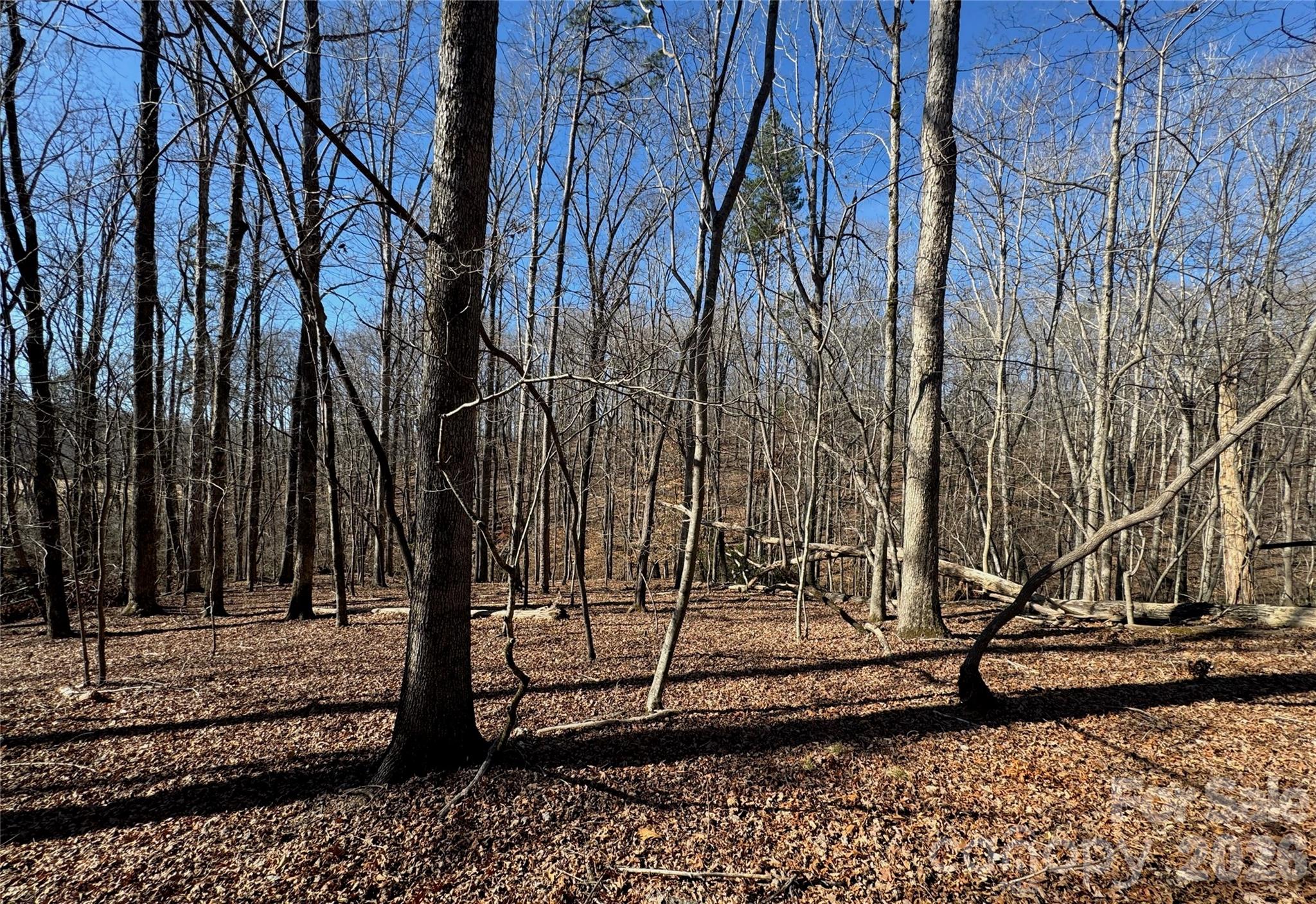 Westmoreland Plantation - Land