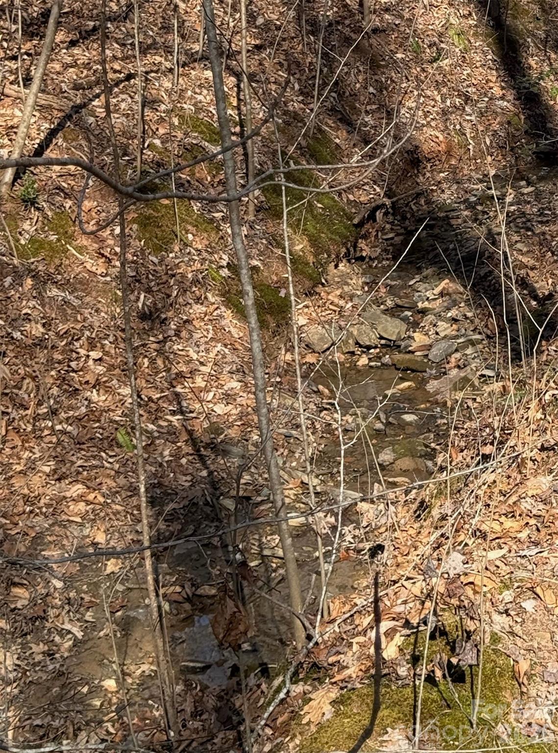 Westmoreland Plantation - Land