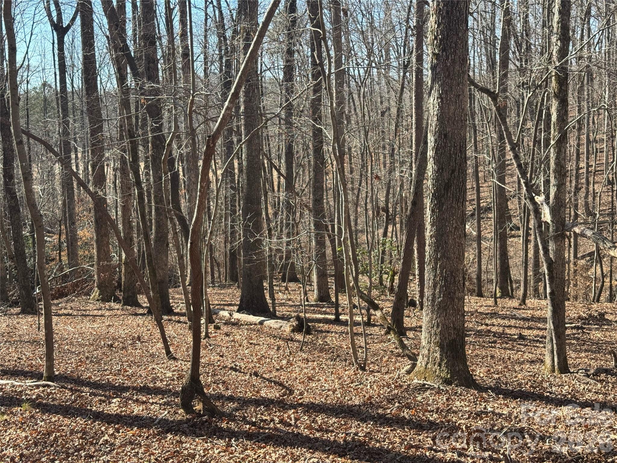 Westmoreland Plantation - Land