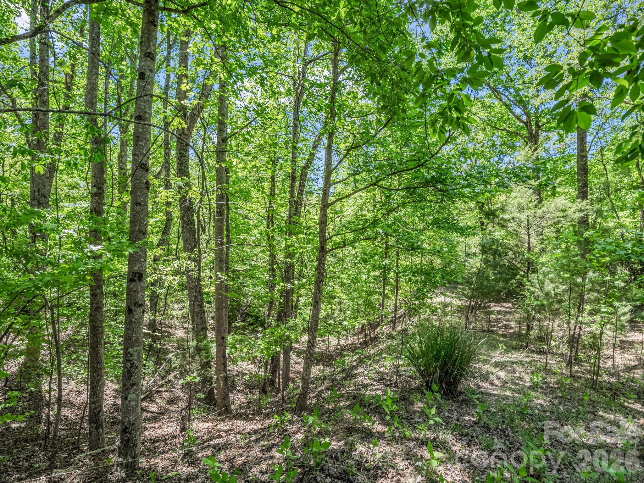 Westmoreland Plantation - Land