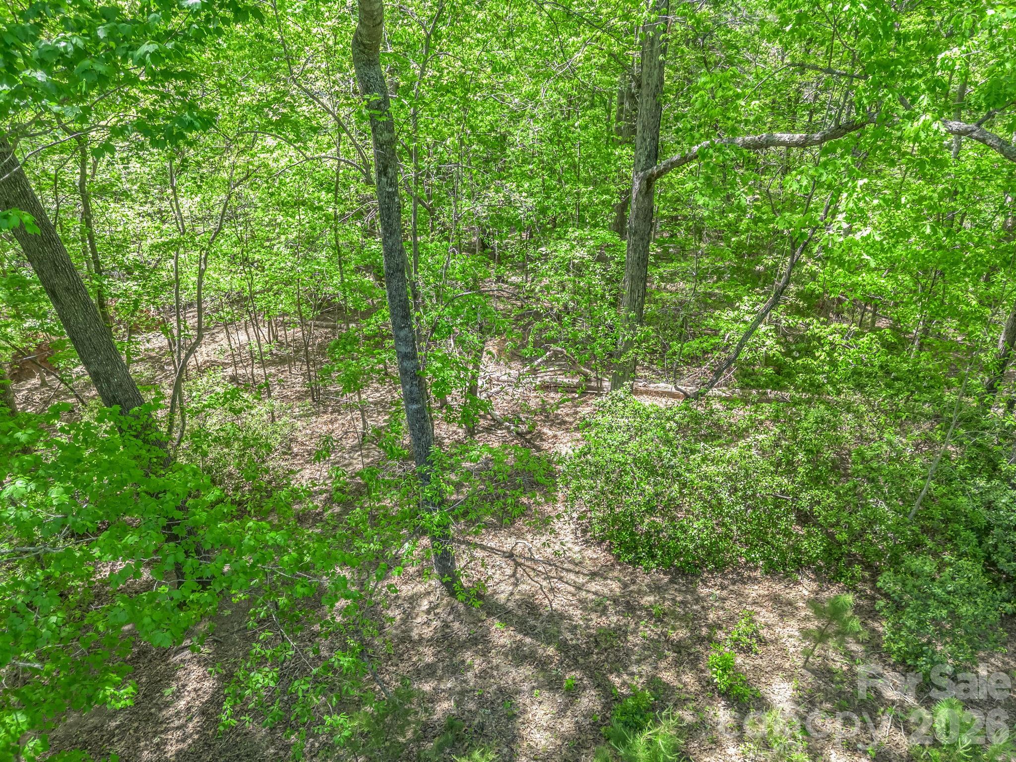 Westmoreland Plantation - Land