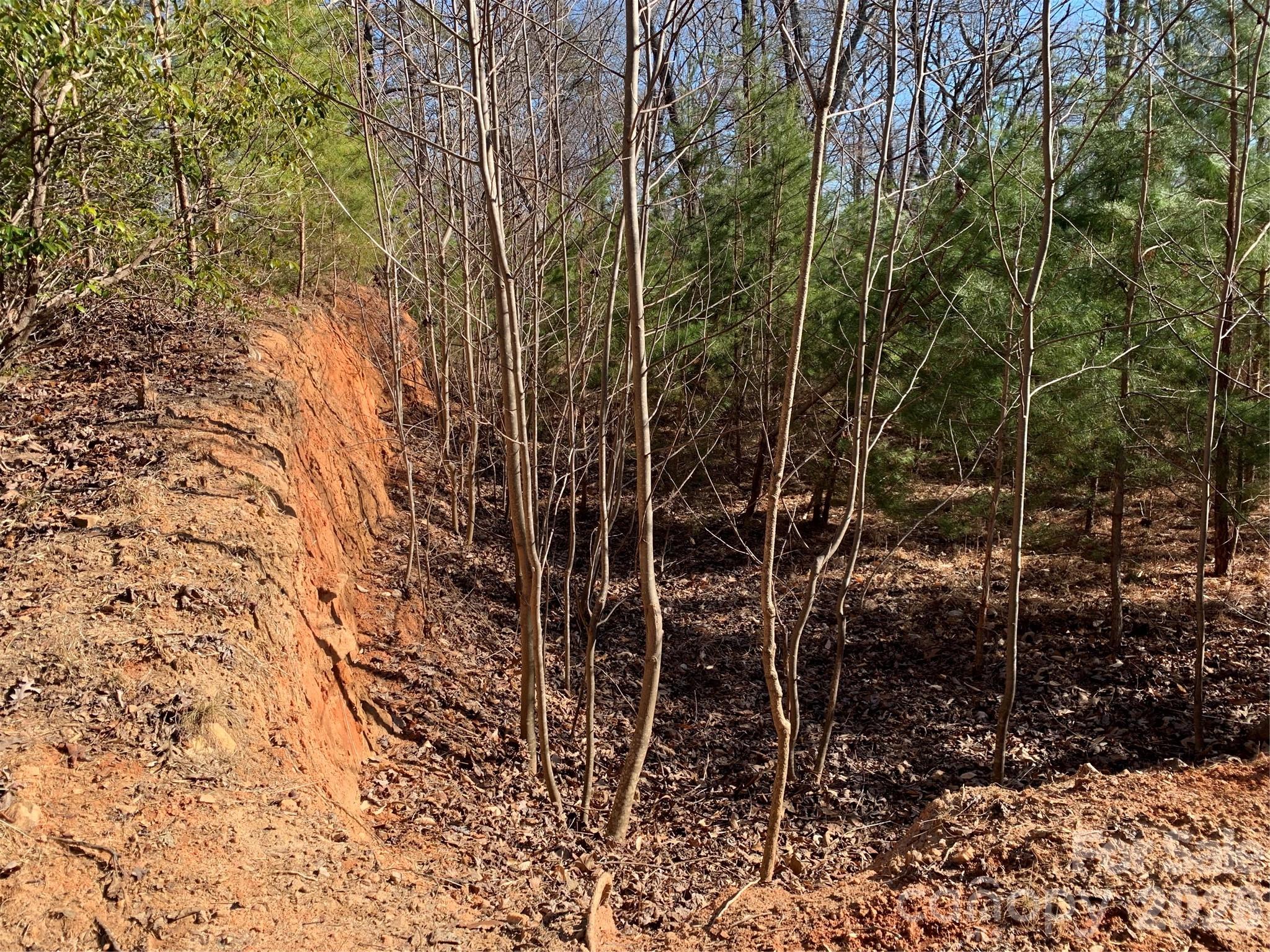 Westmoreland Plantation - Land