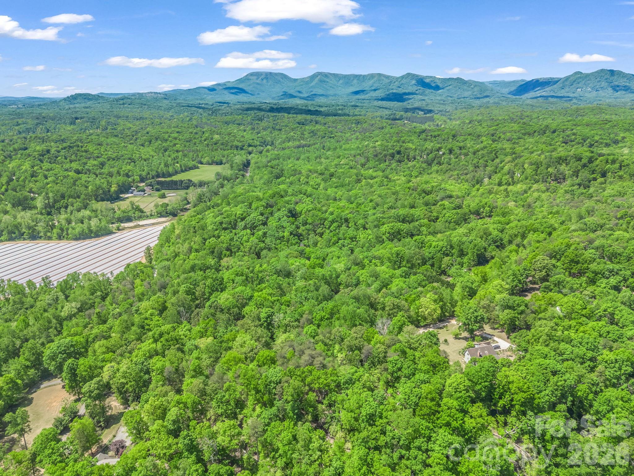 Westmoreland Plantation - Land