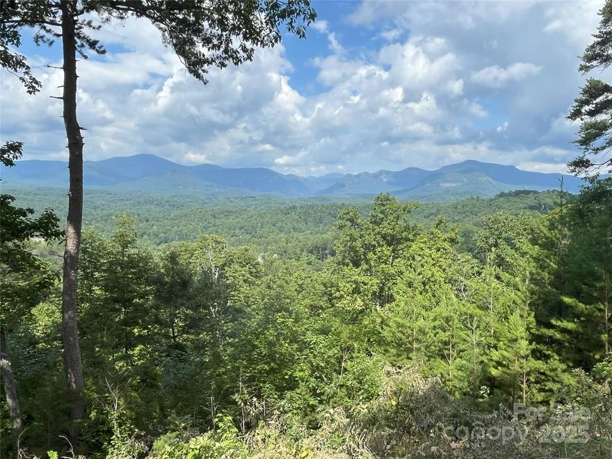 Huge 180-degree panoramic mountain views overlooking Lake Lure, Chimney Rock, and the Hickory Nut Gorge, sitting high atop the gated community of Vistas at Bills Mountain. This beautiful homesite is located on a newly paved road, just down the street from the community clubhouse, which includes an outdoor pool, fitness center, full kitchen facilities, and the same outstanding views experienced from your homesite. Community amenities also offer tennis courts and a beautifully landscaped front entrance and gatehouse. This property has a perfect level, partially cleared building site to maximize the stunning views, and just waiting for you to come build your private dream home getaway!