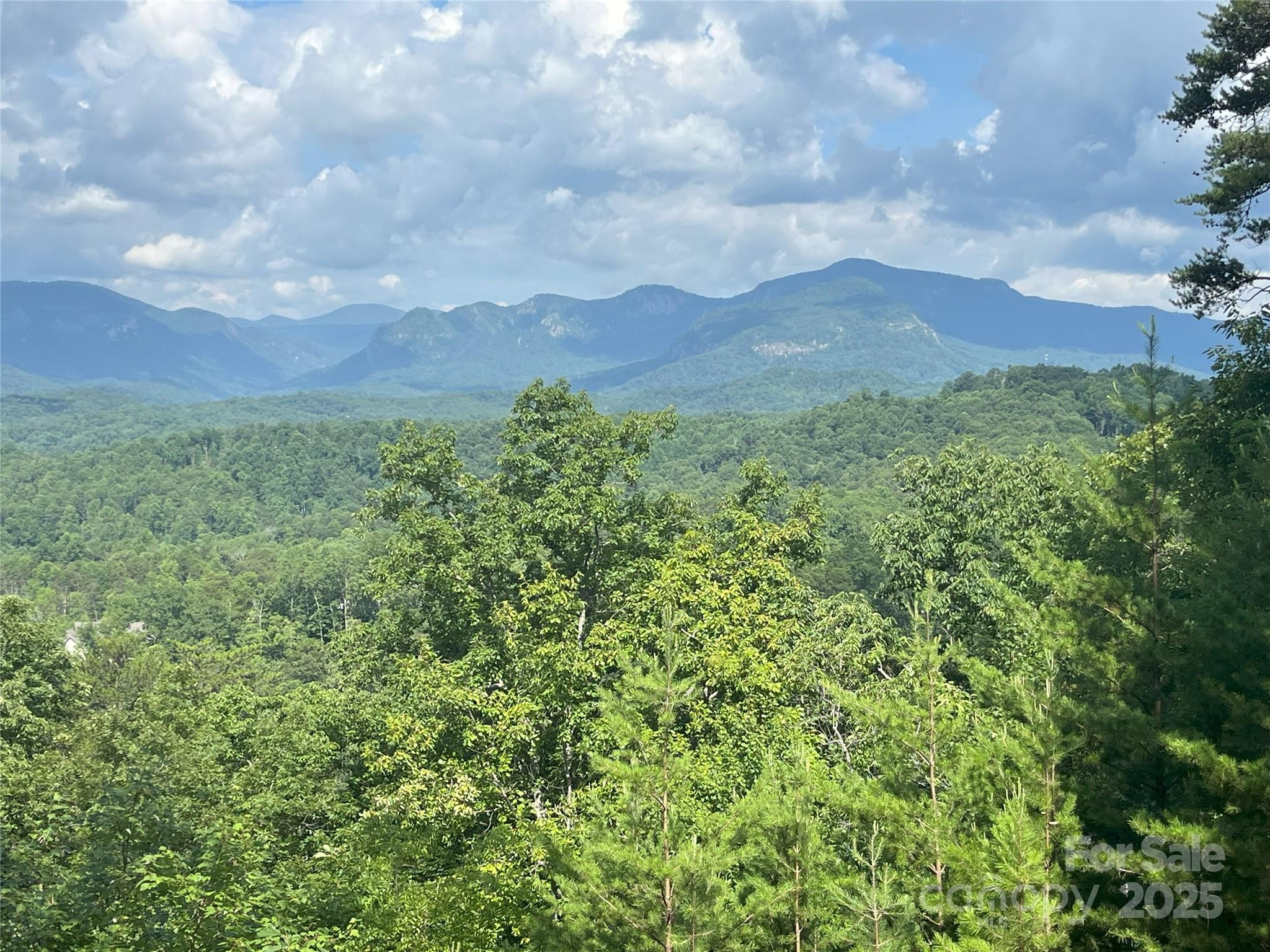 00 Bills Mountain Trail 6