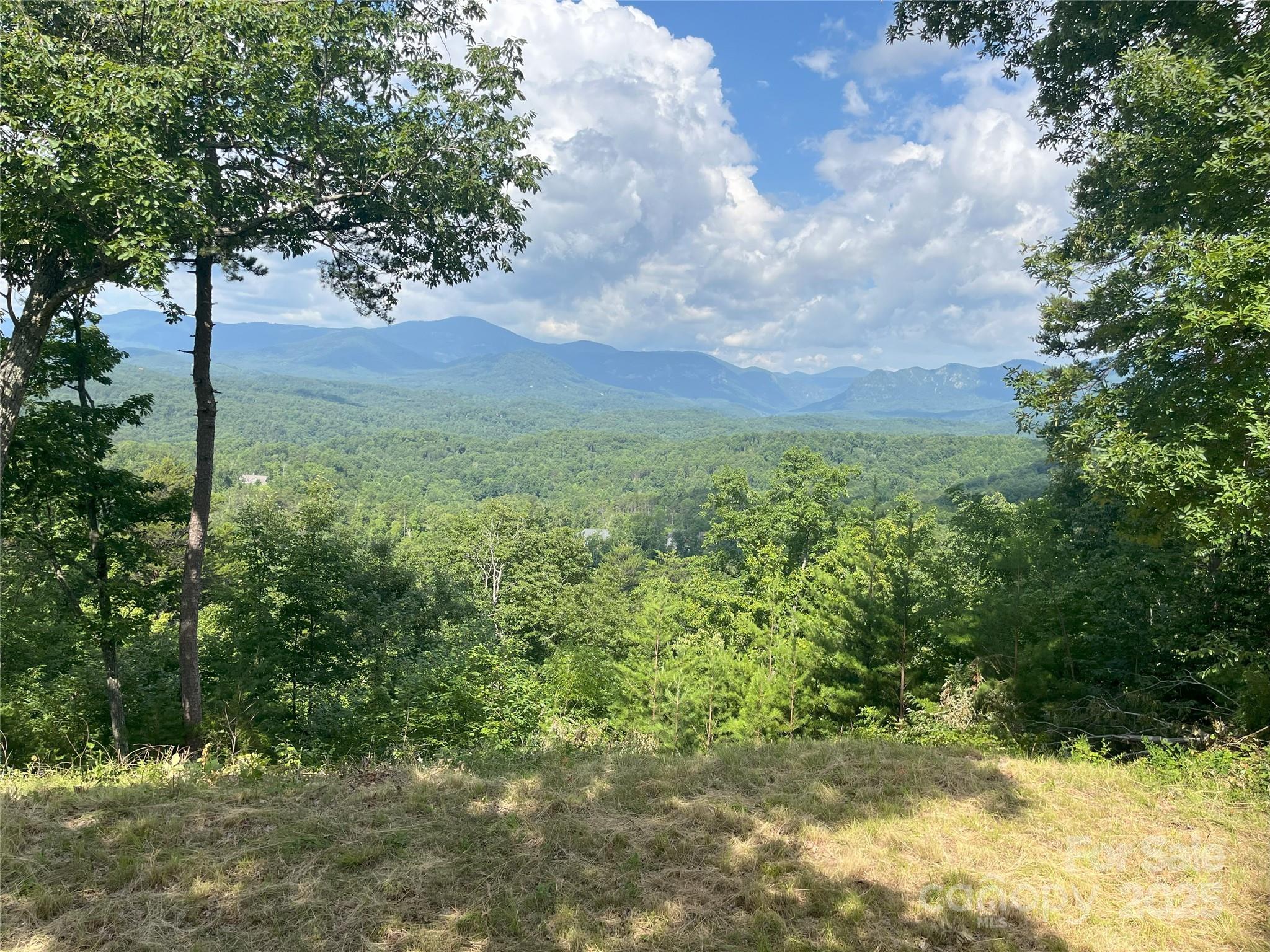 00 Bills Mountain Trail 6