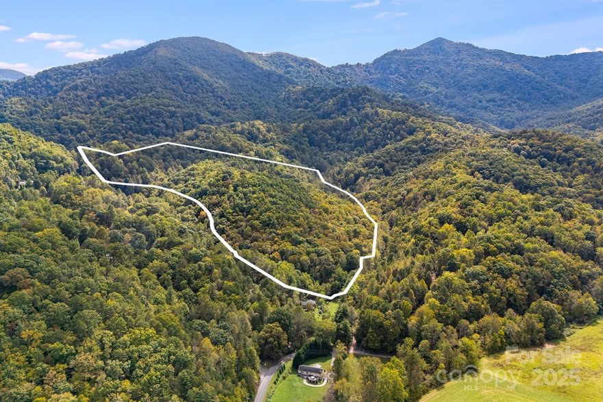 Private ±38 Acres in Leicester — Easy Access, Gentle Terrain, and Only 20 Minutes to Asheville. Discover this beautiful mountain property tucked away off South Turkey Creek Road in Leicester. Accessed by a 60-foot right of way, the solid gravel road leads gently to several potential building sites. A well, septic system, and electricity are already in place — a rare find for acreage of this size. Enjoy the best of both worlds: complete privacy and convenient access, just a scenic 20-minute drive to Asheville. You can reach this serene retreat without steep climbs and enjoy winter mountain views and the brilliant colors of spring and fall. Properties like this one are few and far between.