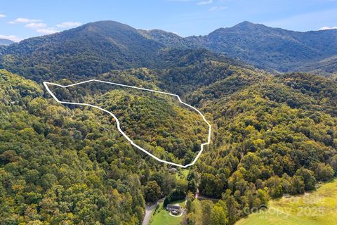 99999 S Hidden Cove Road Leicester NC 28748