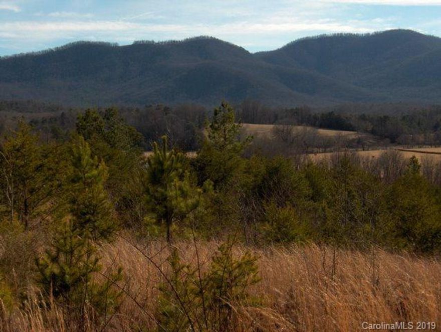 JUST REDUCED!!!!  Lot 35 Located in Rocky Creek Sub-Division. Gentle Sloping Lot with Great Mountain Views. Sub-Division Has Greenway Walking Path, Beautiful Creek with Waterfalls and Large Boulders. Very Easy Access to I-40, Shopping and Dining. House Plans to be Approved by Architectural Review. Public Water Available-Septic Needed.