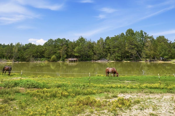 176 MEEK RD, GASTONIA, NC 28056 - Image d99d2ea02fe8a4c9b8445ce8fba4d077/1911945990