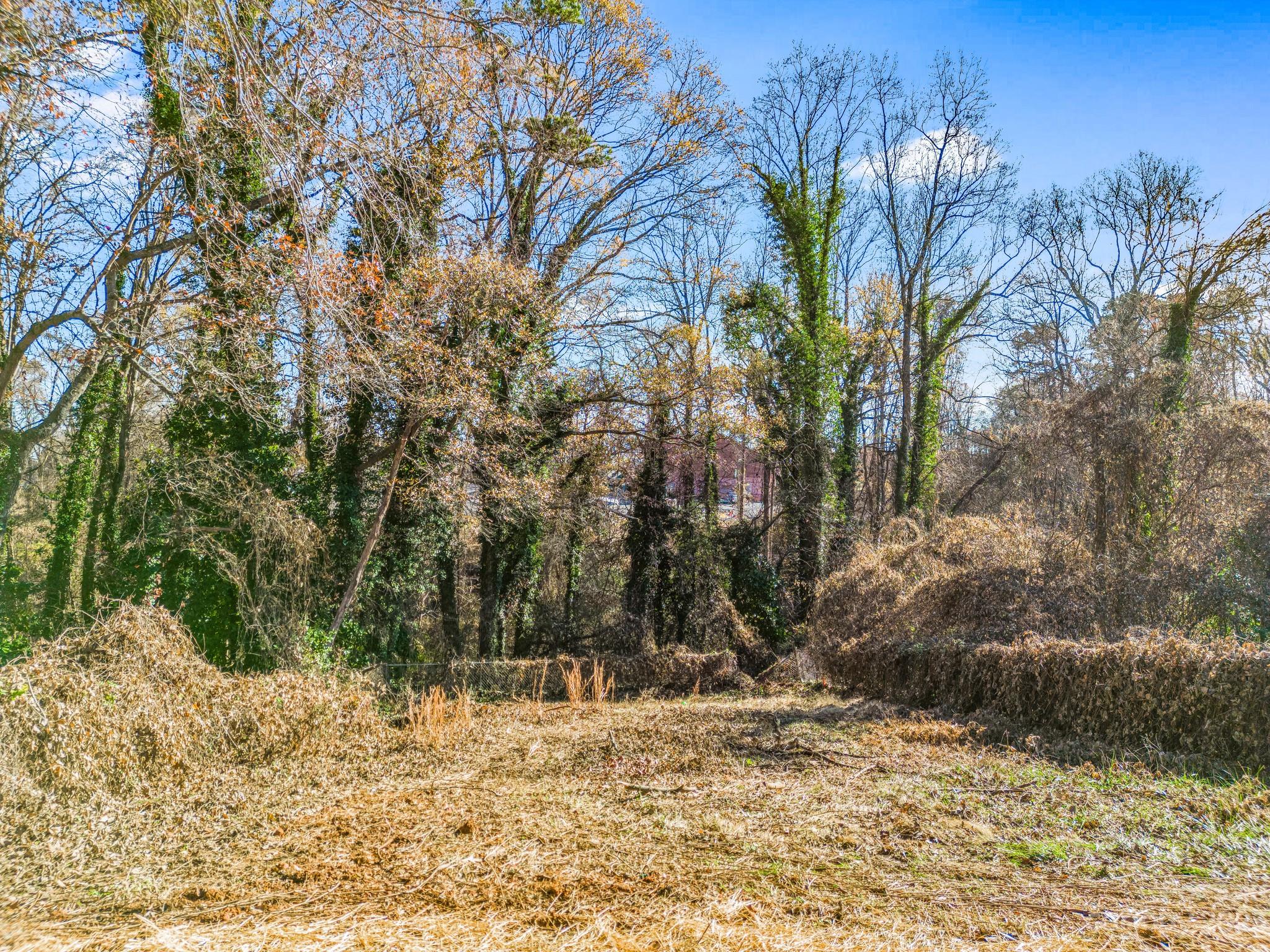 Cleveland Heights - Residential