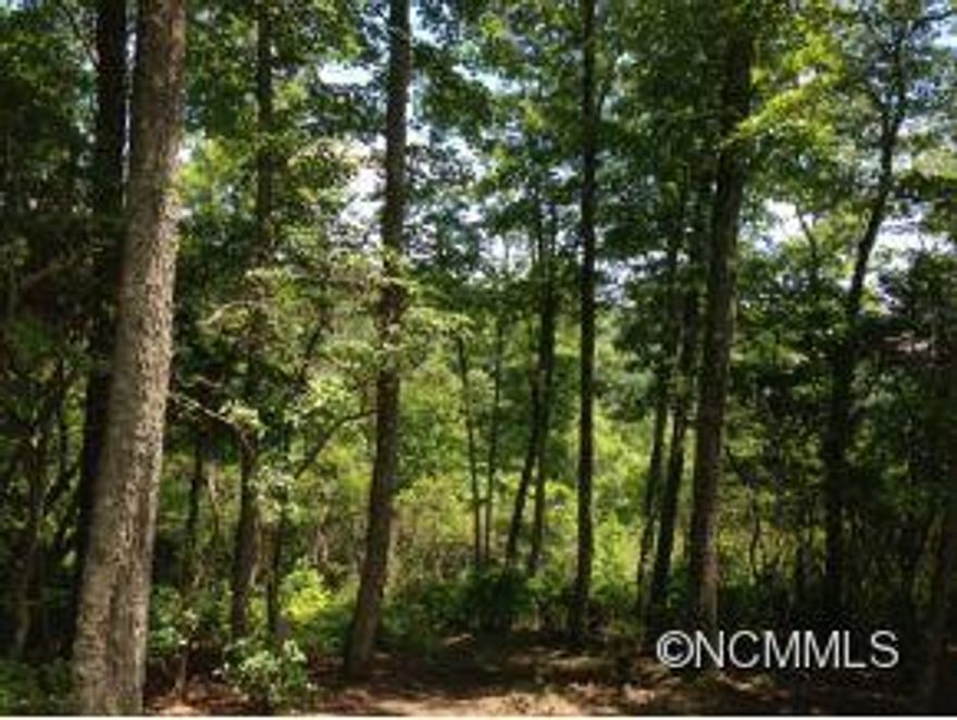 Located inside the exclusive gated community at The Cliffs at Walnut Cove. This property sit on top of a knoll and offers a great expansive view of the Pisgah National Forest while providing a easy built site. Membership available to buyer.