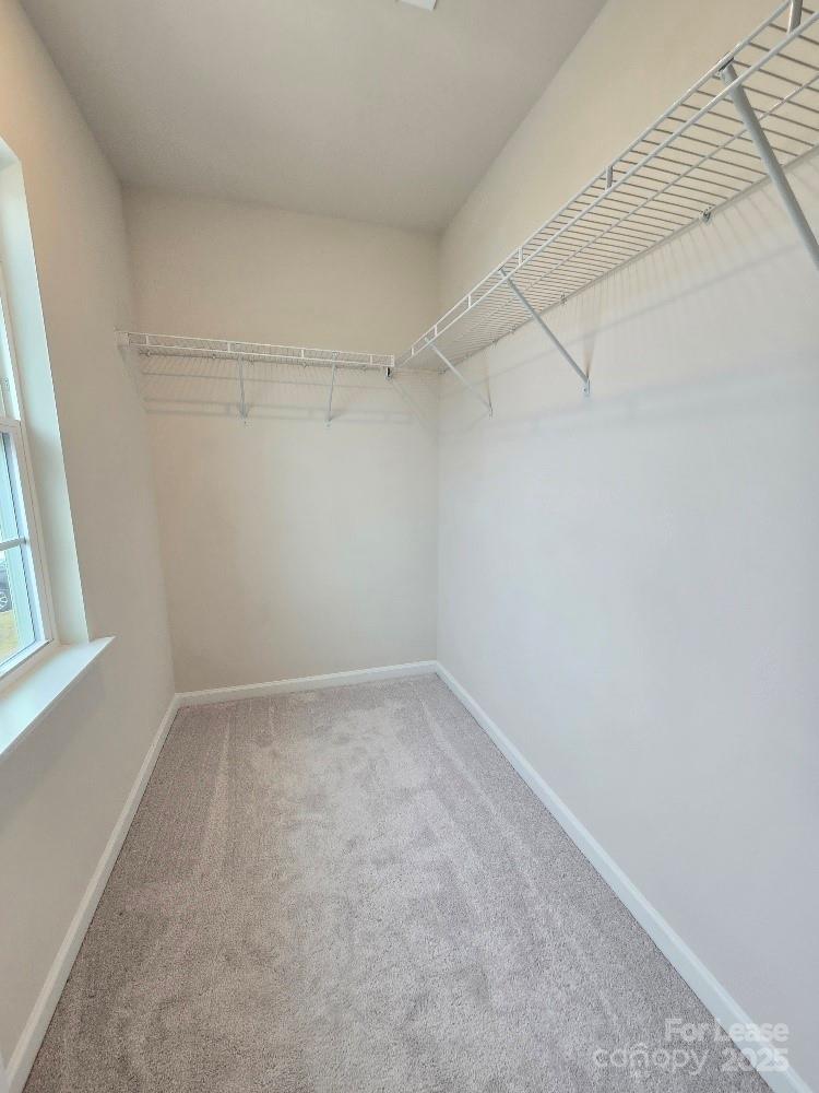 Brightwater - Residential Lease