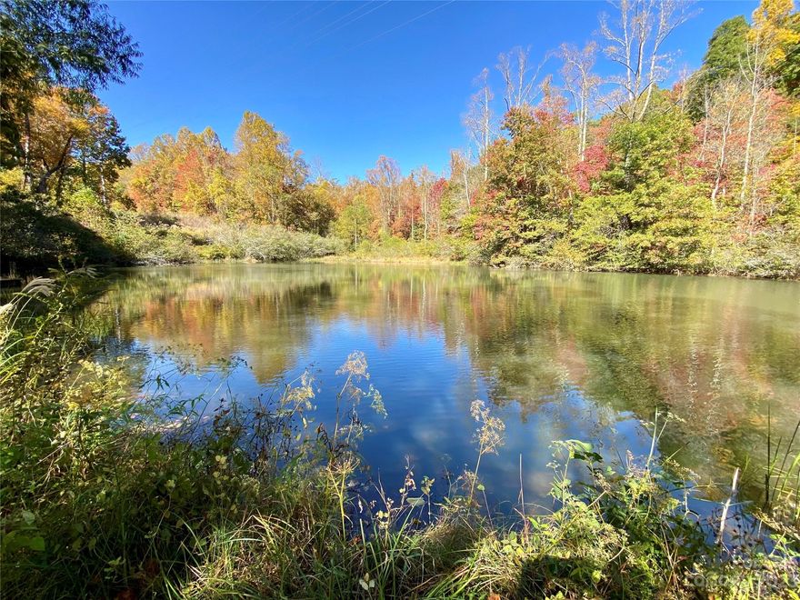 Private 38 acres located only minutes to downtown Saluda, Tryon & Equestrian Center!  Wooded and open with several home sites, pond and creek.  Singlewide currently rented.  48' x 24' existing garage and well house.  Nice
property, has many possibilities.