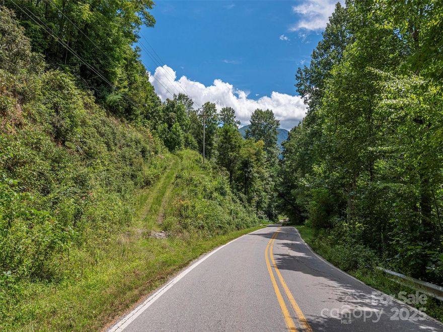Who says you can't have it all? Only a stone's throw away from the Blue Ridge Parkway and a skip to Maggie Valley. Make this parcel your own and find yourself planted in the beautiful mountains of Western North Carolina! You are only minutes from Cataloochee Ski Area and the Cataloochee Ranch. There is already a rough cut drive in place. It won't be hard to see you vision come to life on this parcel!