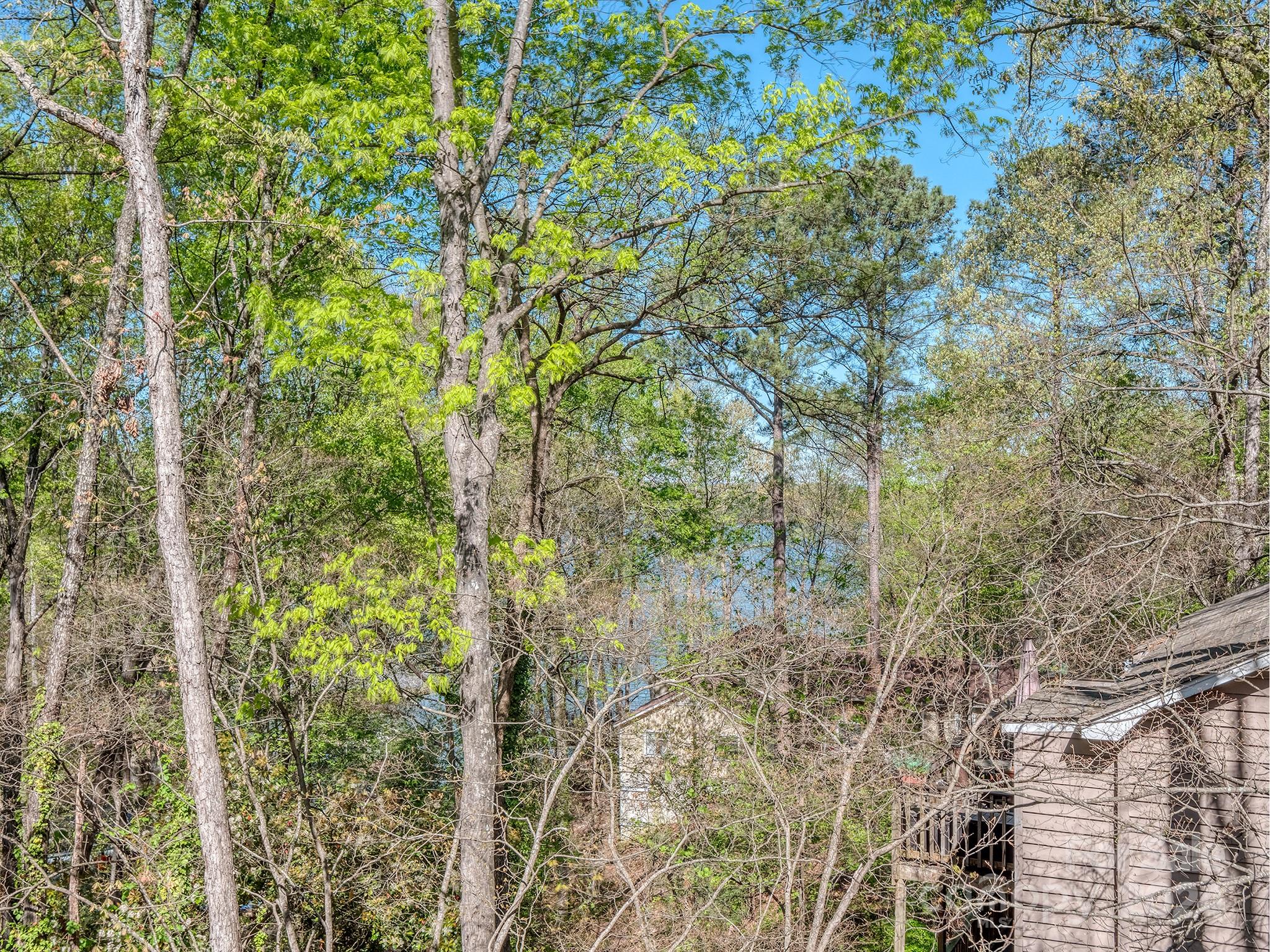 Tega Cay - Residential