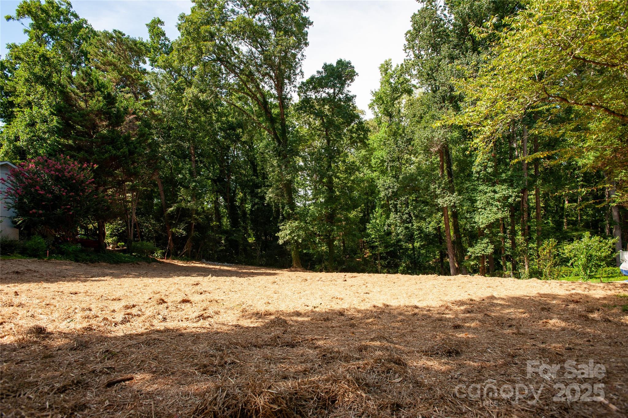 137 Meadowbrook Lane 4