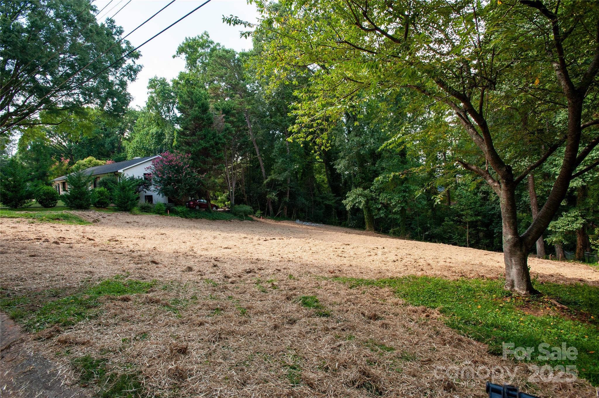 137 Meadowbrook Lane 4