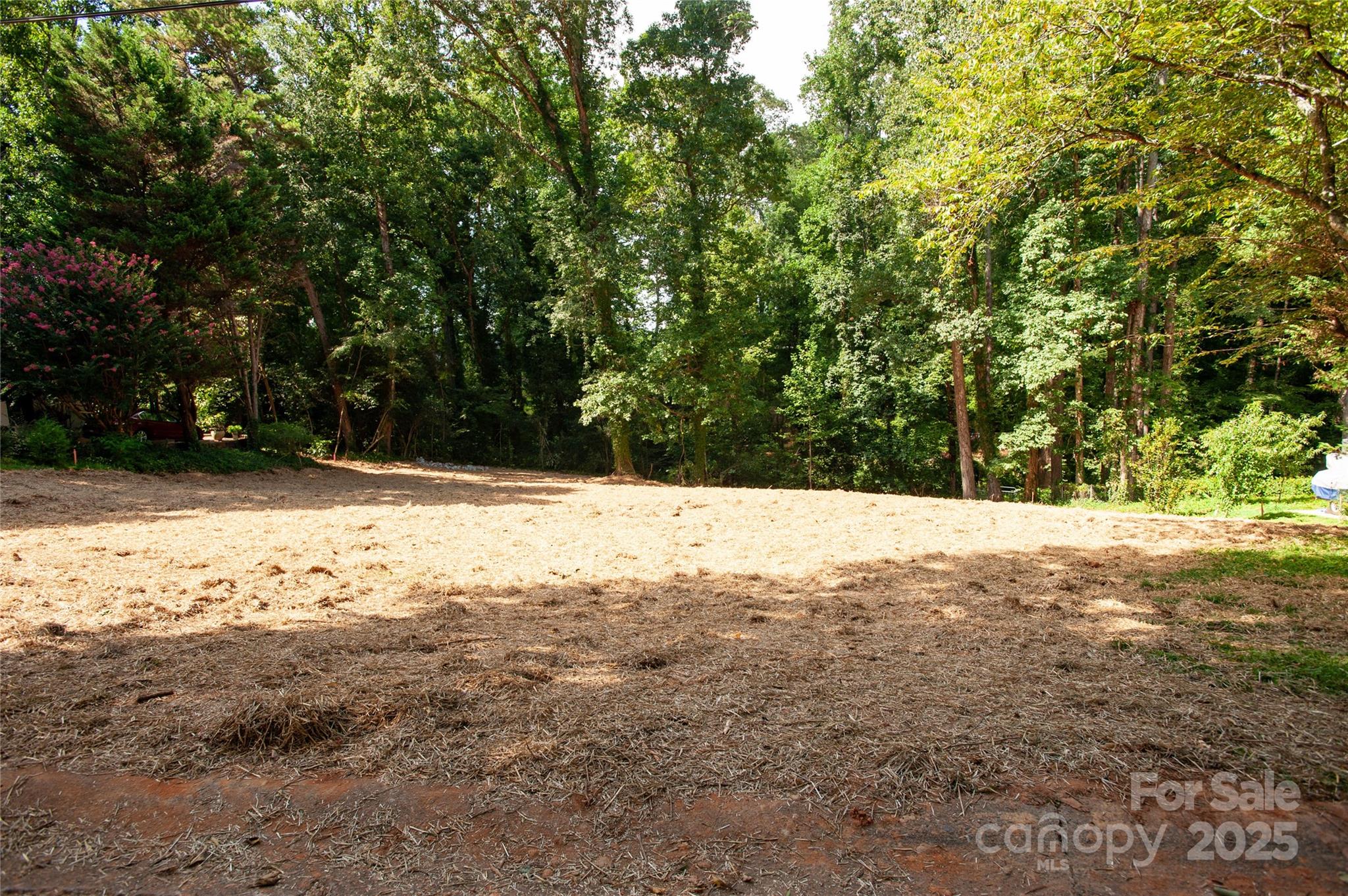 137 Meadowbrook Lane 4