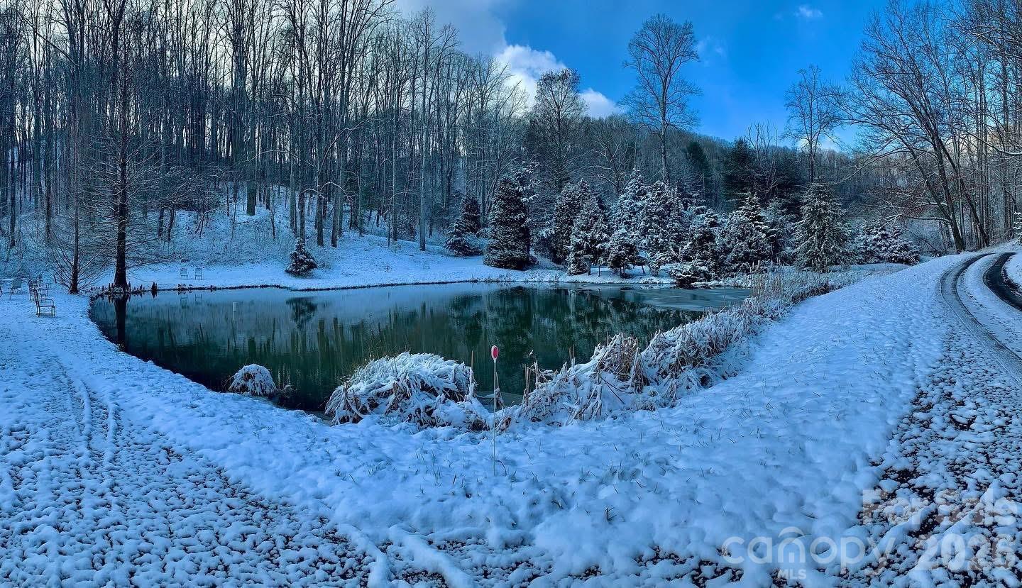 198 Brooks Branch Road